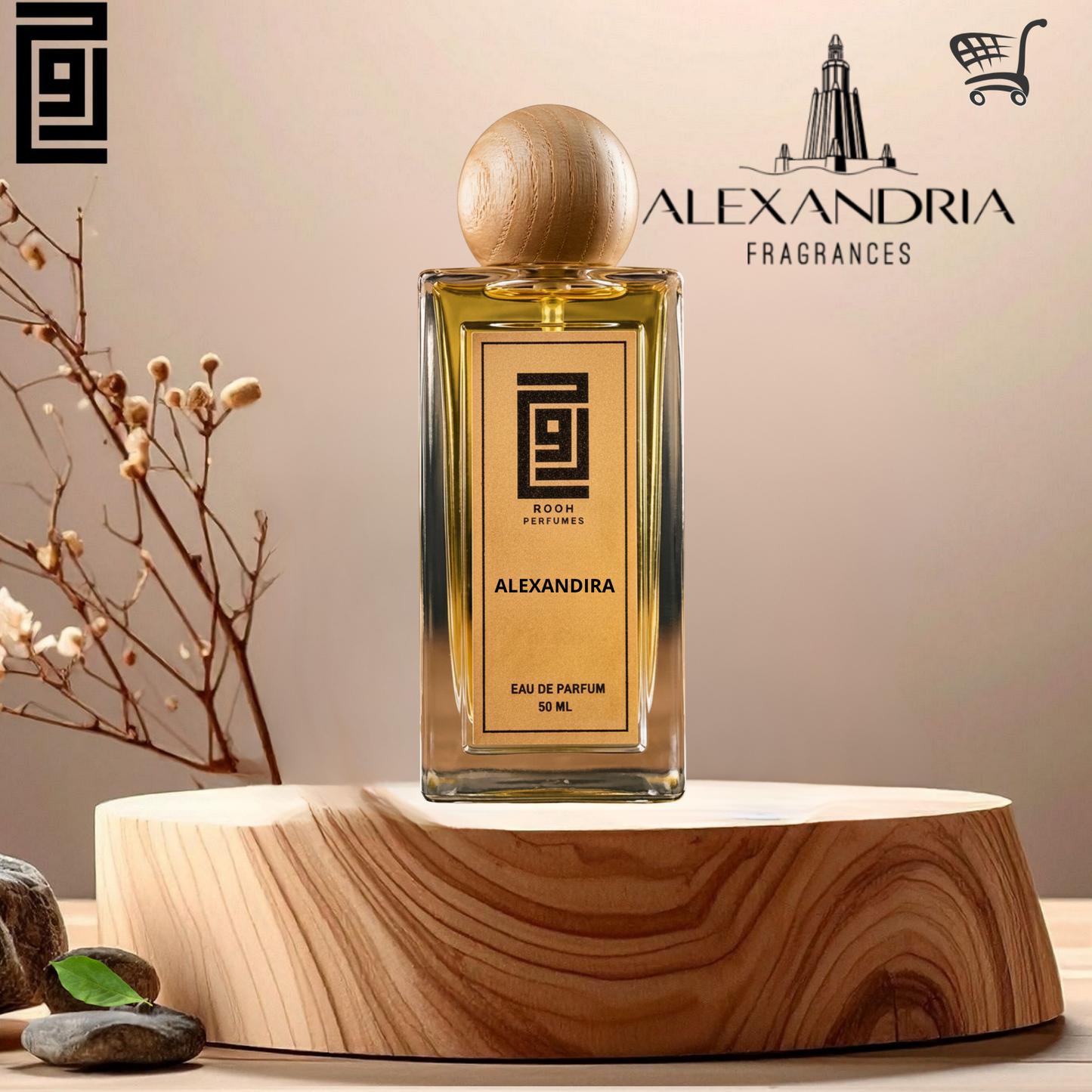 alexandira 1